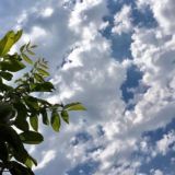 ستُجبَر🦋.