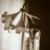 сирина | поэзия