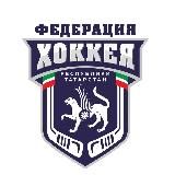 Федерация Хоккея РТ