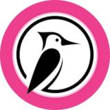 فروشگاه علی چینی