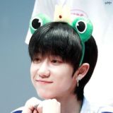 8 STARS 🐸