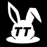 tt team
