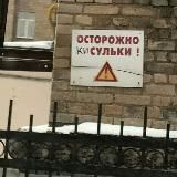 котически