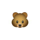 Оплата | BearCourses