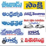 Daily News Paper's