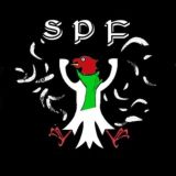 Satirisch,politisch,faktisch