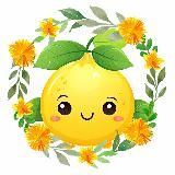 Цитрус | Непошлое