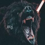 Big trader club