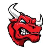 Chatik bulls *2