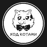 Ход Котами