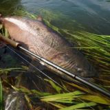 FishTours