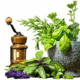 Clean Body Essentials