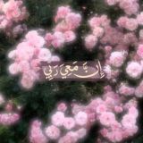 • لِيطمَئِـن قَـلبُـك 🩷.