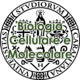 UNICA News Biologia Cellulare e Molecolare