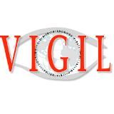 VIGIL Journal - международная политика - геополитика