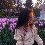 Curlybreaker english