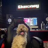 SHMONEY DAILY