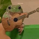 РофлДан🌅🐸