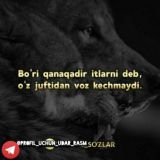FAQAT RINGTON