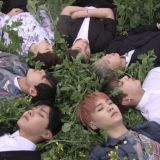 🫧 ৶ BTS