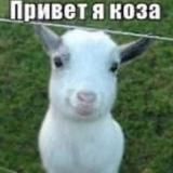 полина камневедова