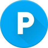 PAYER OFFICIAL