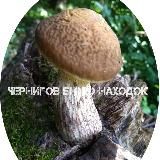 Чернигов Бюро находок