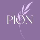 PION | ПИОН