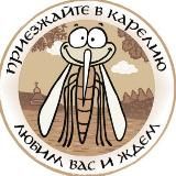 🦟 Карельский комарик | Петрозаводск и Карелия