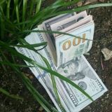 ONLINE LOTTO