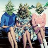 stonedgirls