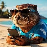 Crypto Bober