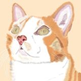 Terapia Felina