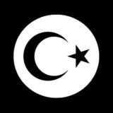 TRENDYOL V2