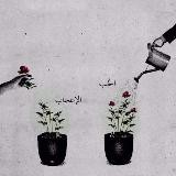 سفر اليَاسَمين 🌼🌺🍃