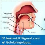 ЛОР / Otolaryngologist | Dr Umidbek Khudayberganov