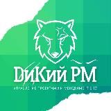 ДиКий PM | Менеджмент в IT без иллюзий. Дмитрий Курамшин