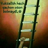 Yangi chat