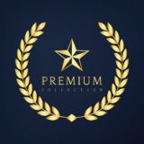 SelfStudy Premium Albums