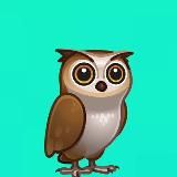 🦉