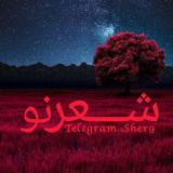 شعر | taraneh.T