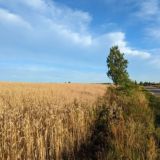 malkv's photos
