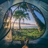 Travel Vibe