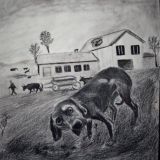 የእርሳስ ስዕሎች ✏️ arts