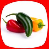 Gruppo spicy