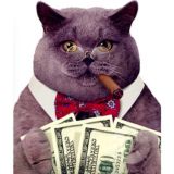 КОТ. Кинотеатр Онлайн Трейдера