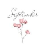 september.uz