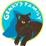 burma_cat_genry [бурманские котята]
