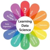 DataScientist PRO