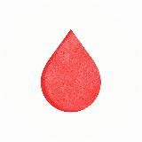 НЕСТАСИШИН